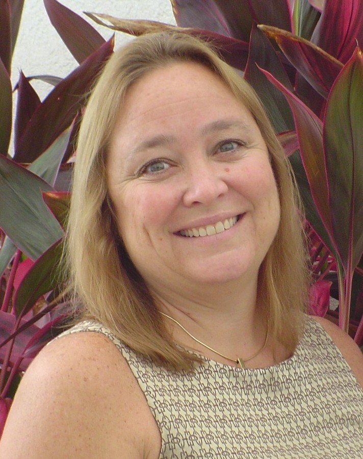 One Particular Harbour And Harbour Isle